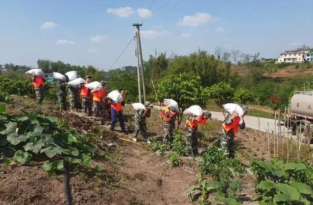 江安縣鐵清鎮(zhèn)組織開展2023年防汛搶險應急演練